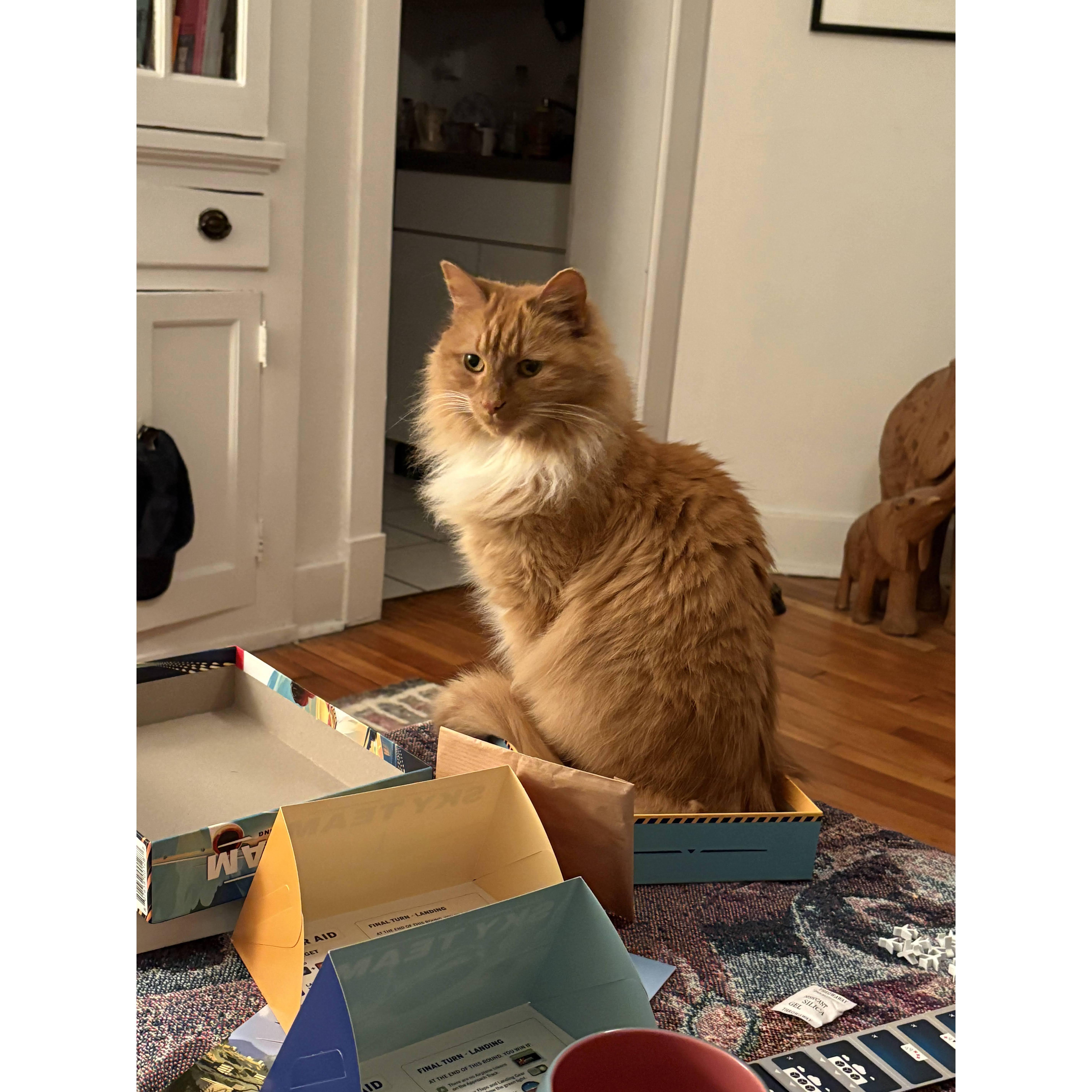 Ella joined in on the fun while Sidney and Kelly obsessively played round after round of the board game "Skyteam," where you work collaboratively to pilot and copilot an airplane into a safe landing.