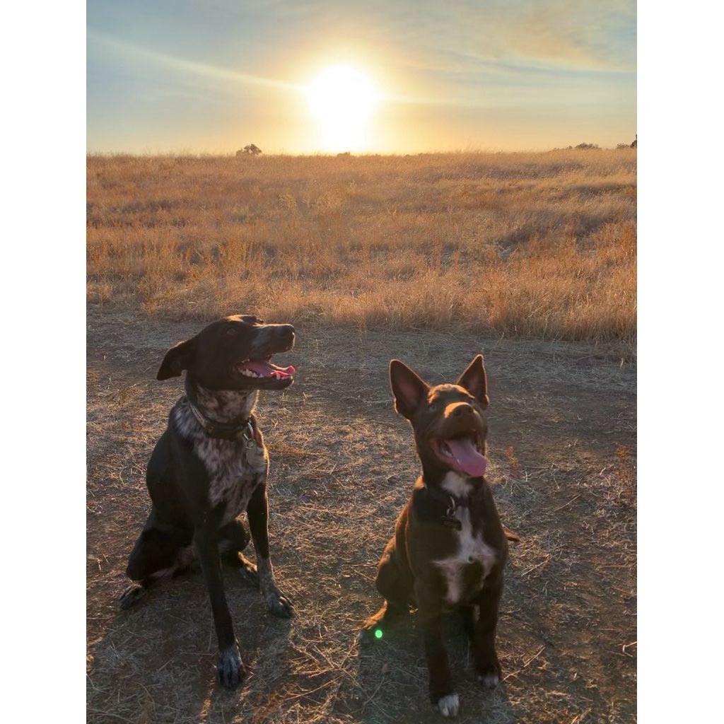 Stella and Dolly