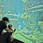 South Carolina Aquarium