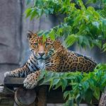 Milwaukee County Zoo