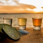 Tequila Tasting