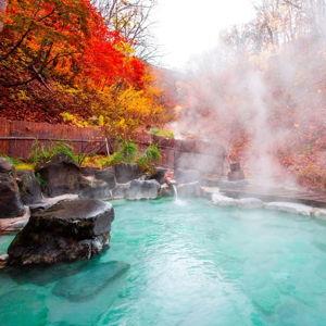 Private Onsen & Ryokan Stay