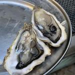 The Oyster Shed