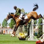 Spruce Meadows