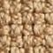 Camel Brown