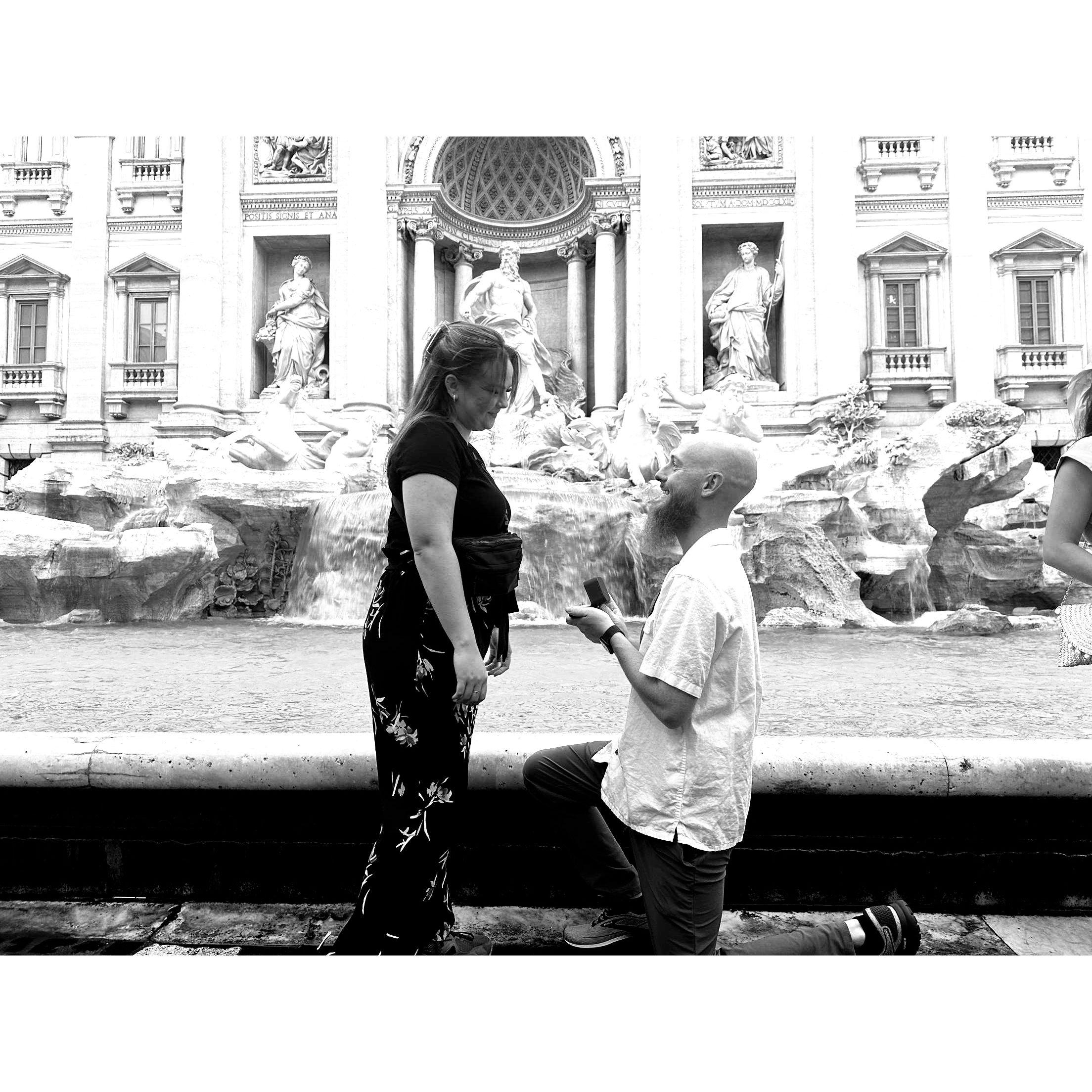 The proposal in front of the Trevi Fountain in Rome