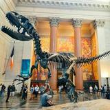 American Museum of Natural History