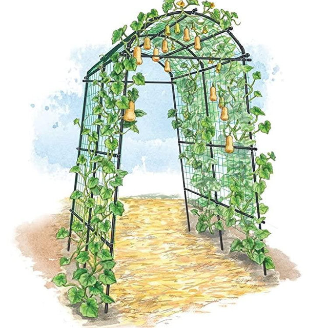 Gardener’s Supply Extra Tall Garden Arch Arbor 80in Titan Squash Tunnel, Lightweight Metal Garden Arch Trellis Plant Stand for Climbing Vines, Plant Support Structure, Outdoor Lawn Tower & Garden