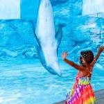 Clearwater Marine Aquarium