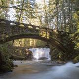 Whatcom Falls
