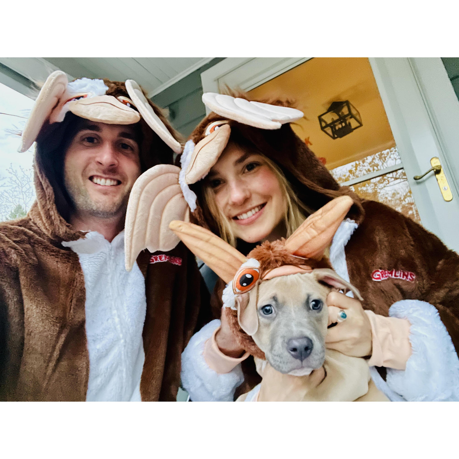 Petey's first halloween as a little gremlin.. too fitting