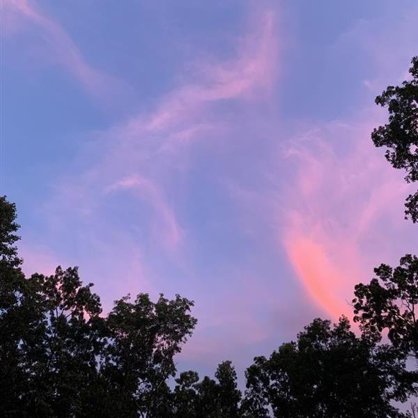 And they saw sunsets