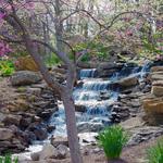 Overland Park Arboretum & Botanical Gardens