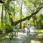 Jekyll Island Bike Trails