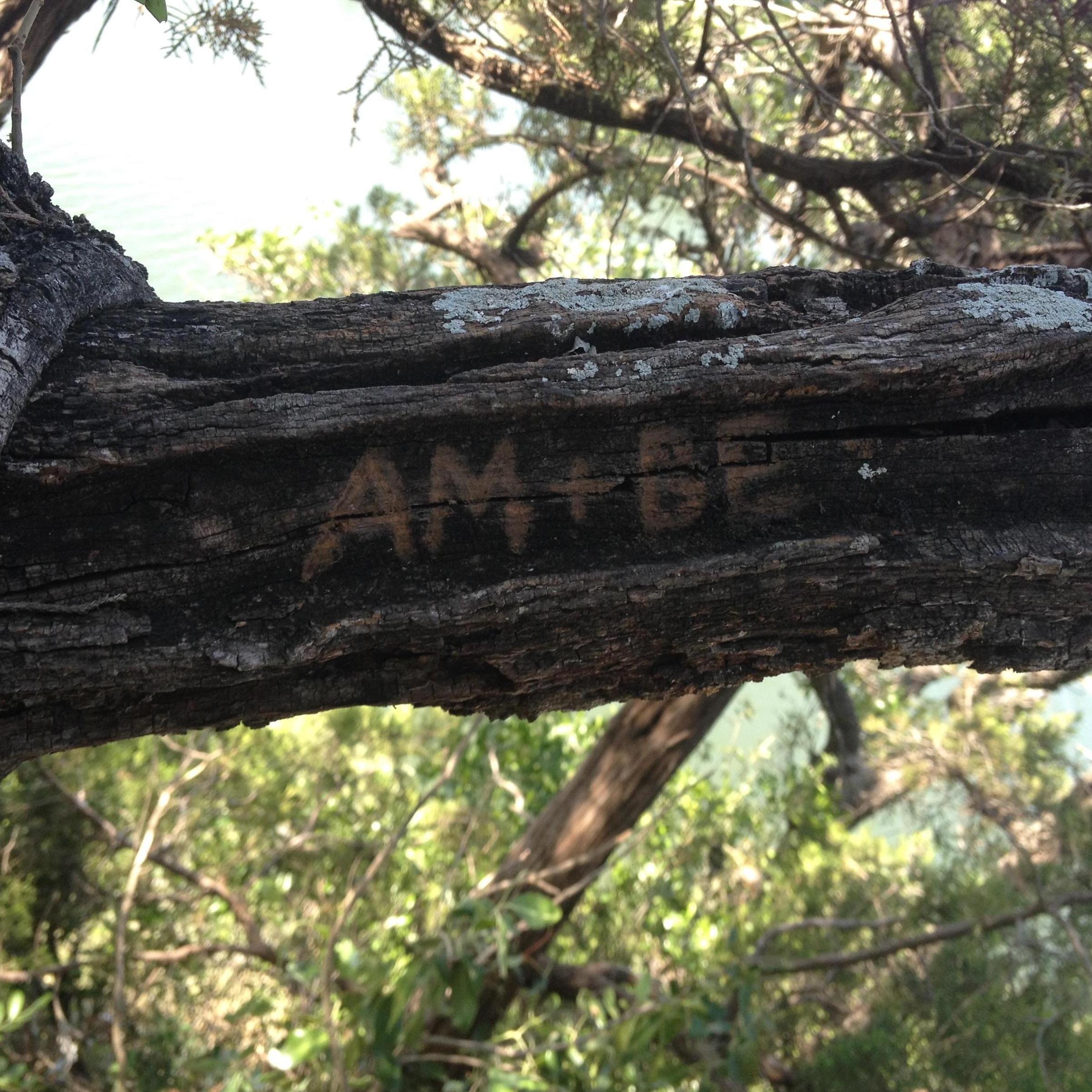 Carving our initials into a tree at the 360 overlook. Aug 2014