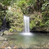 El Yunque National Forest