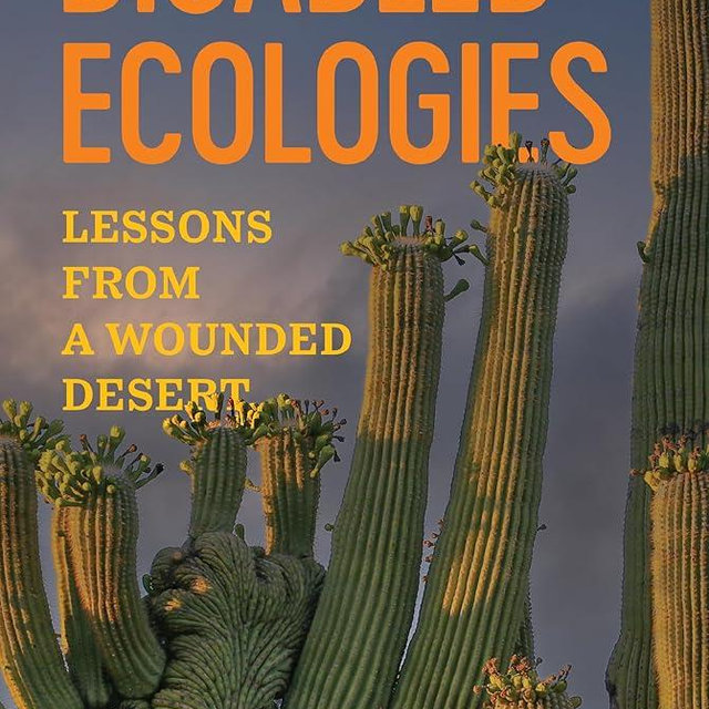 Disabled Ecologies: Lessons from a Wounded Desert