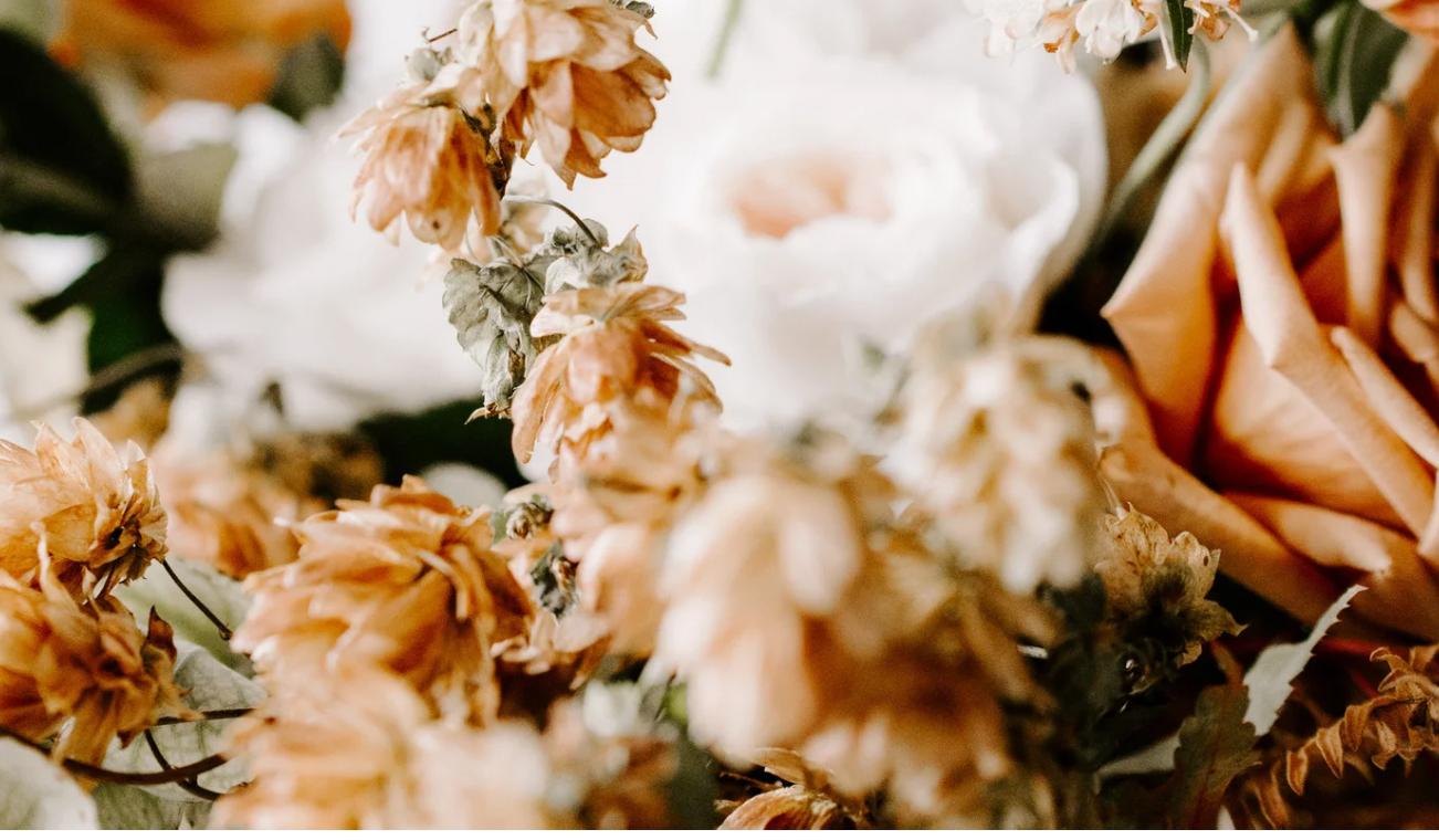 Footer image