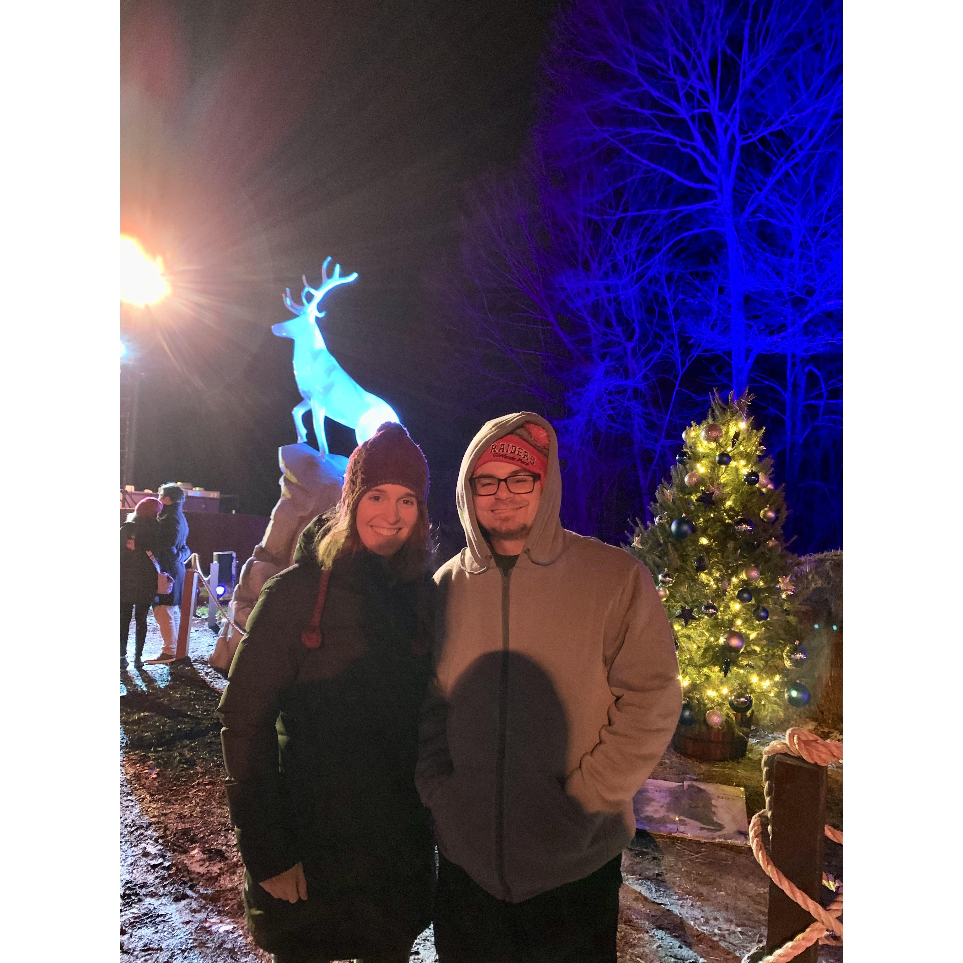 Harry Potter Forbidden Forest Experience