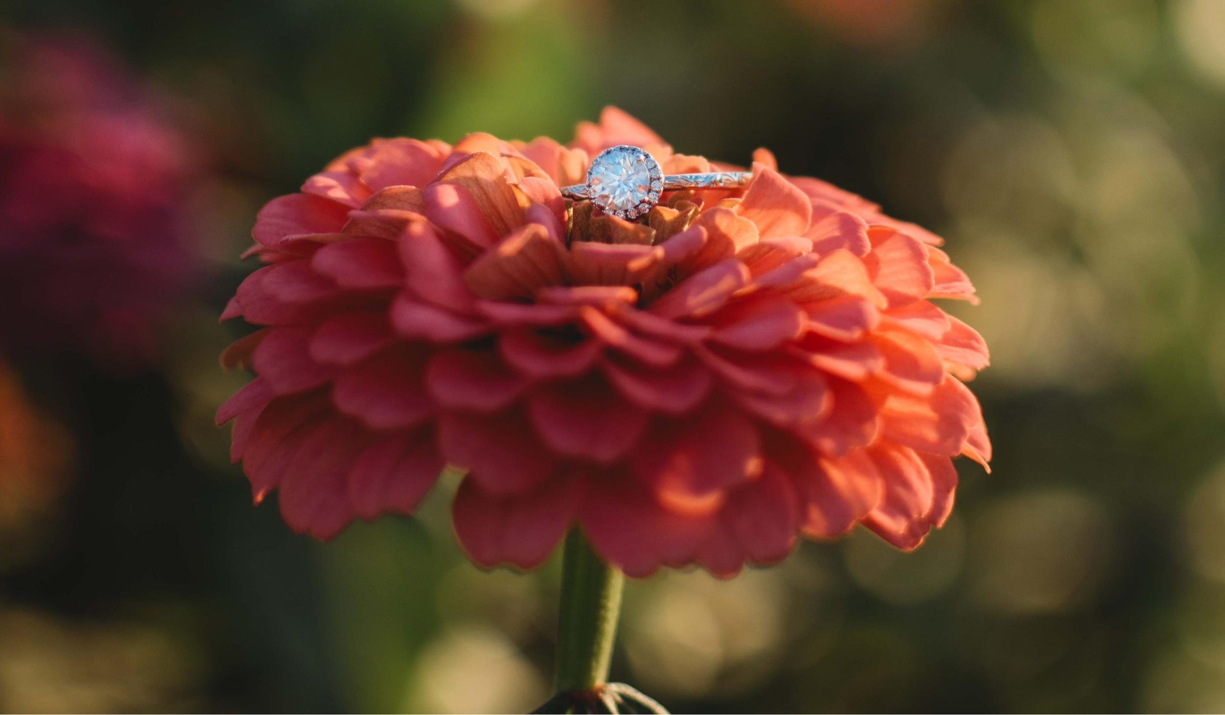 The Wedding Website of McKayla Coller and Caleab Cummings
