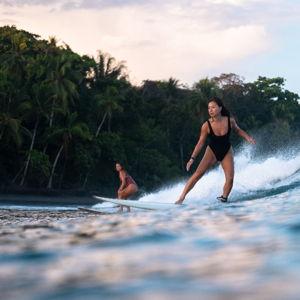 Surfing Rentals/Lessons