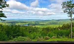 The Wedding Website of Claudia Taylor and China Teves