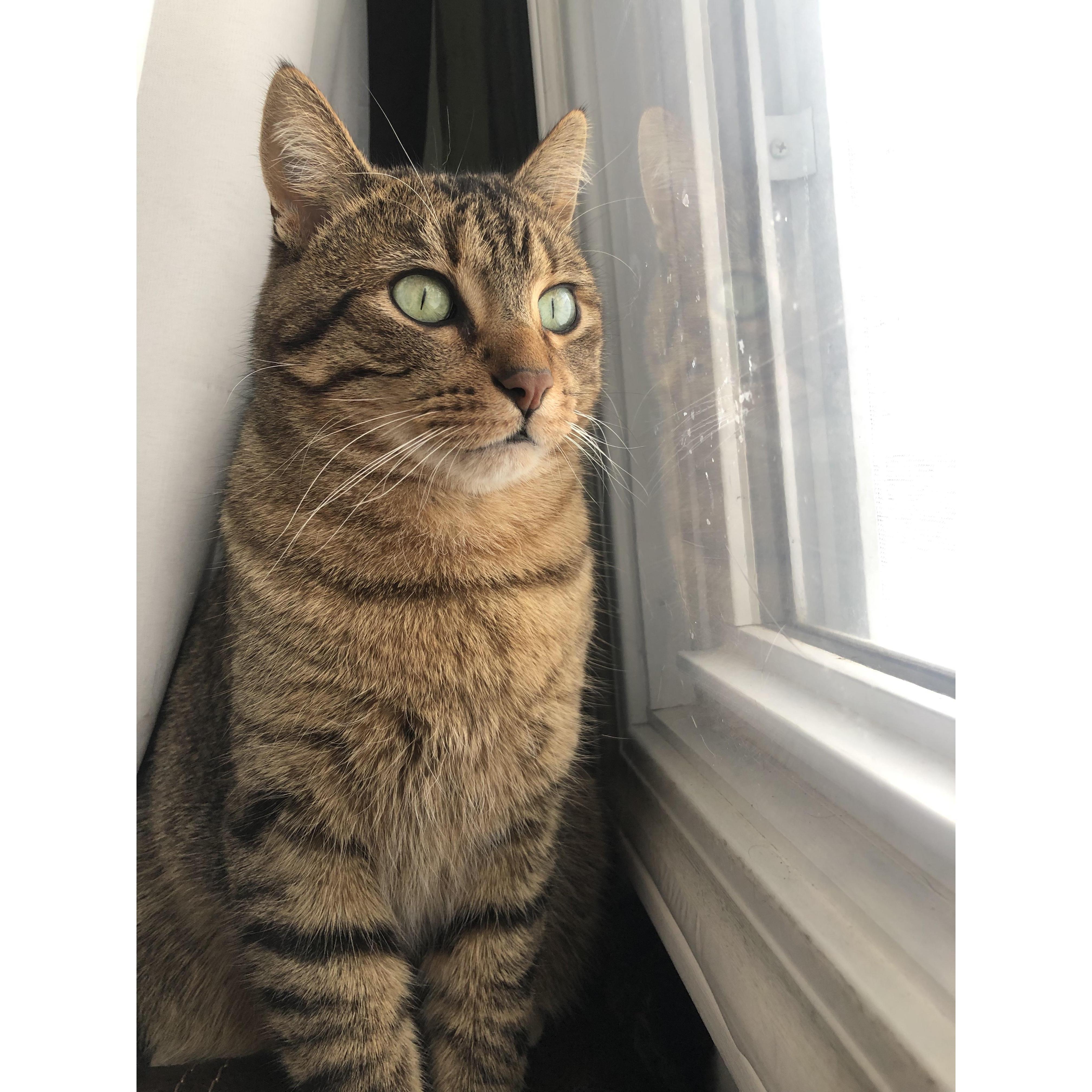 Zazu.