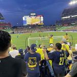 Attend an MLS Game!