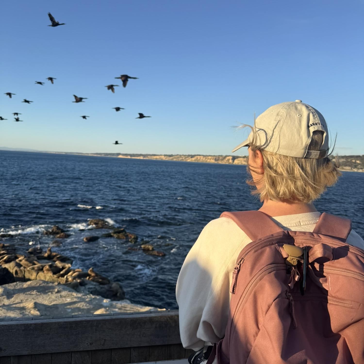 La Jolla Seal Cove