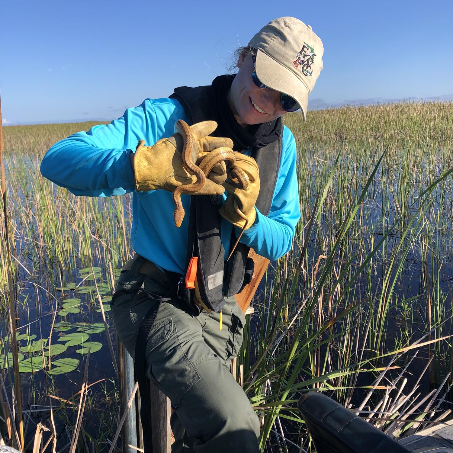Removing a yellow ratsnake from my wood duck nesting box