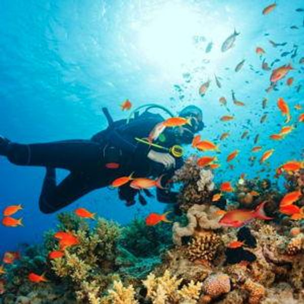 Scuba Diving Lessons