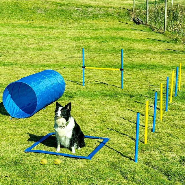 Sowsun Dog Agility Equipment, Outdoor Games Exercise Training Obstacle Course Hurdles for Jumping Practice, Agility Starter Kit with Carrying Case