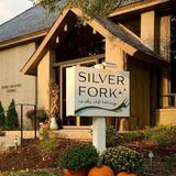 The Silver Fork