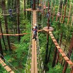 Sonoma Canopy Tours