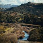 Local Hikes