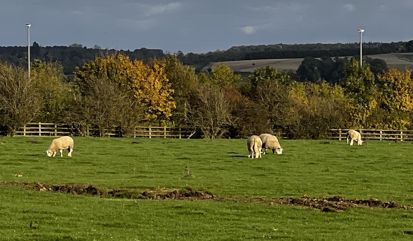 The Wedding Website of Renée Geandreau and Eleanor Higginson