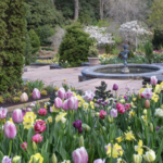 Sarah P. Duke Gardens