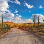 Saguaro National Park West