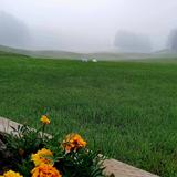Plaster Rock Golf & Curling Club