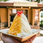 Island Vintage Shave Ice - Royal Hawaiian