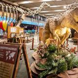 Science Museum Oklahoma