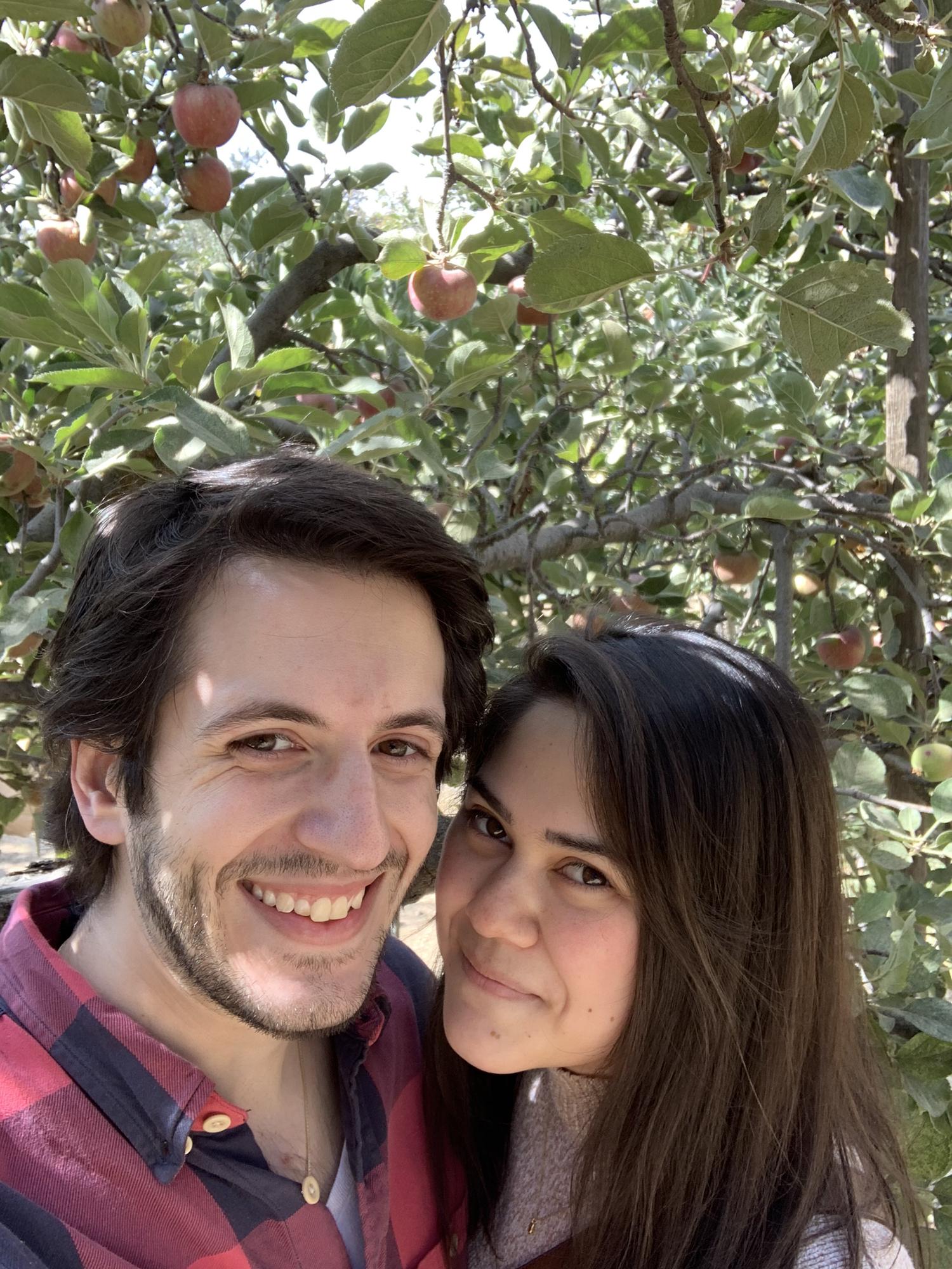 Apple Picking in Oak Glen