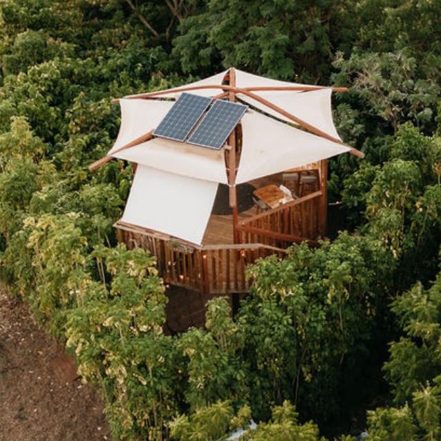 Lahaina: Maui Ku'ia Estate Guided Cacao Farm Tour and Tasting