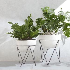 Iris Planter + Chevron Stand