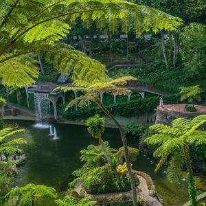 Botanical Gardens in Funchal
