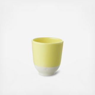 Color Lab Tea Cup, Set of 6