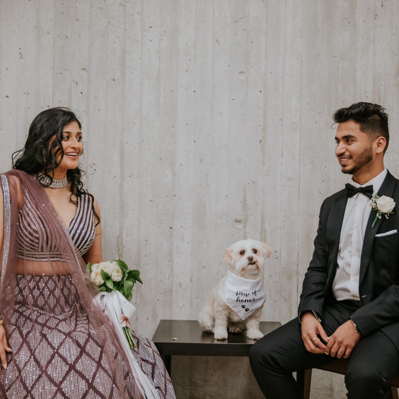 Boston City Hall Court Marriage
