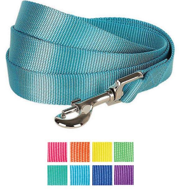 BLUEBERRY PET Classic Solid Nylon Dog Leash, Turquoise, Medium: 5-ft long, 3/4-in wide - Chewy.com
