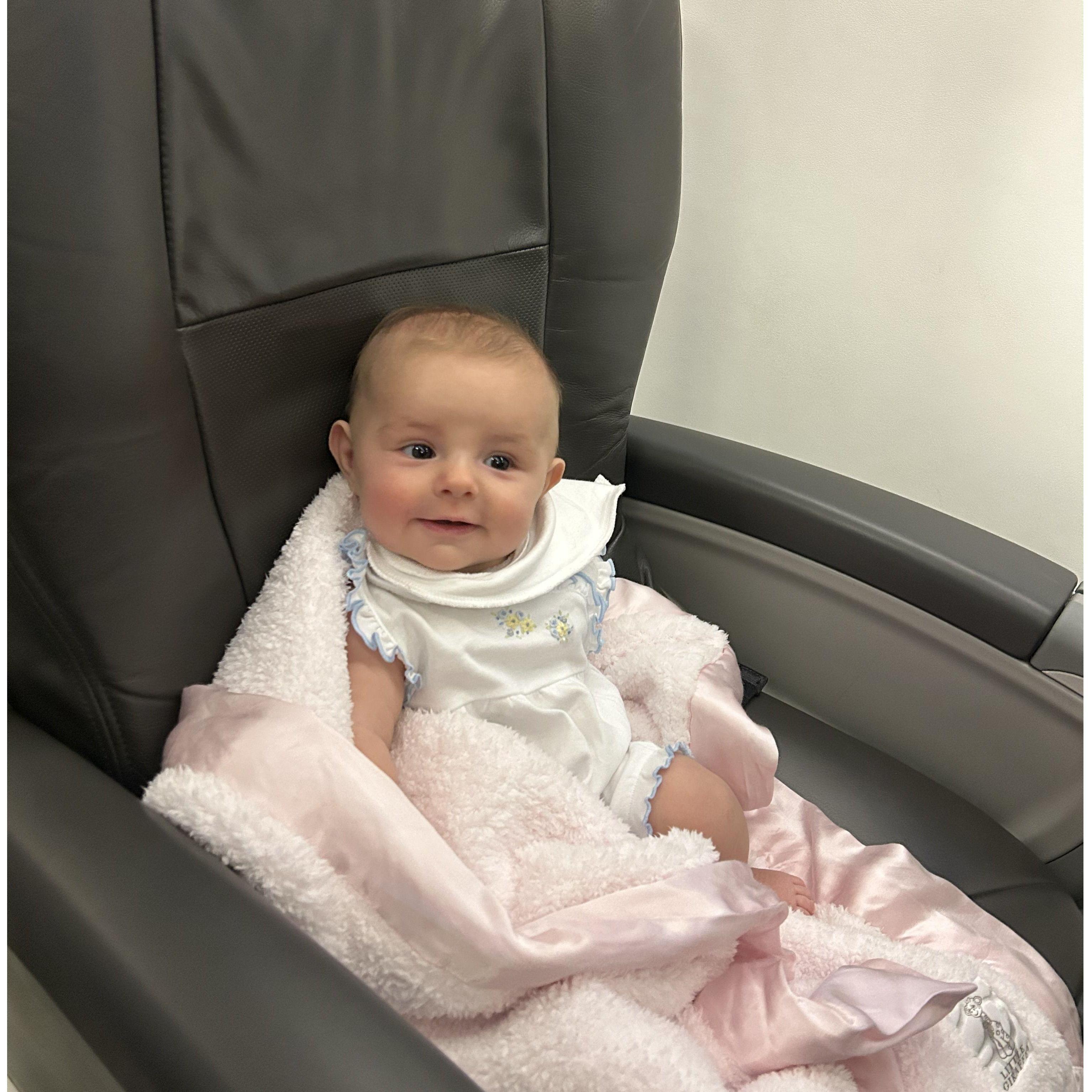 Layla enjoying her first class flight. She does great on planes.