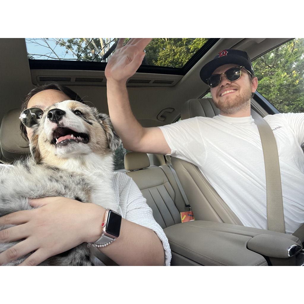 Bringing home our Baloo!!